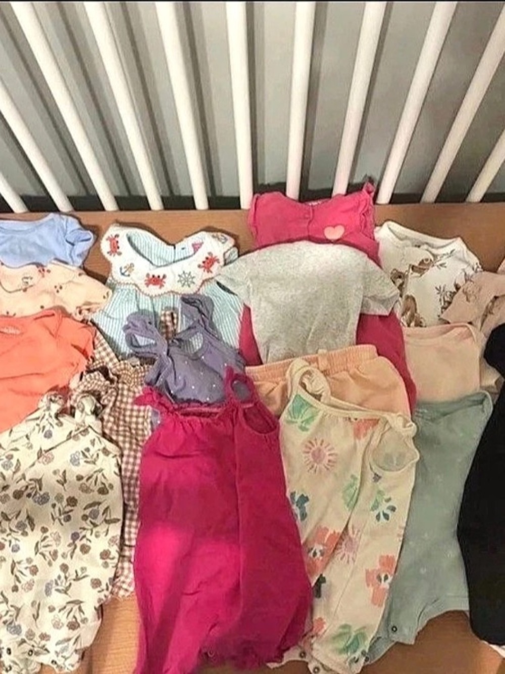 Baby Girl Clothing Bundle 9 months